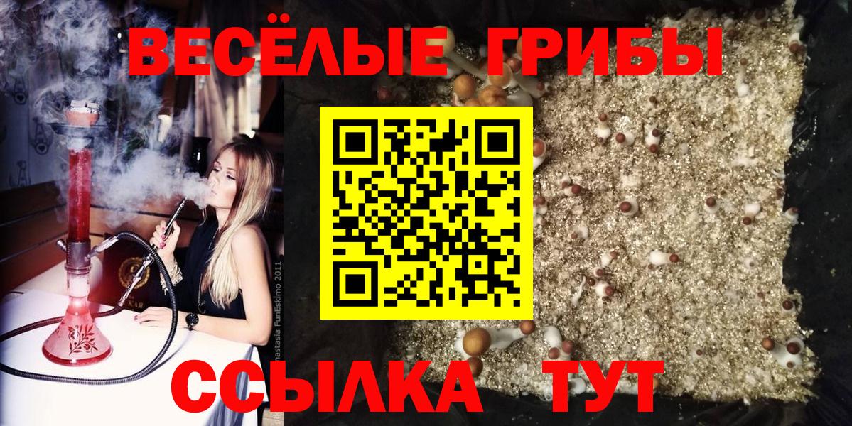Псилоцибиновые грибы MAGIC MUSHROOMS  Галлюциногенные грибы прущие грибы  Клинцы  Вход с VPN 